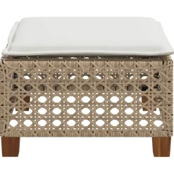vidaXL Tuinkruk met kussen 63,5x56x32 cm poly rattan beige