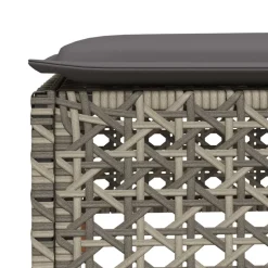 vidaXL Tuinkruk met kussen 63,5x56x32 cm poly rattan grijs