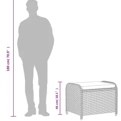 vidaXL Tuinkruk met kussen 58x46x46 cm poly rattan bruin