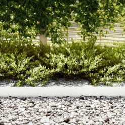 vidaXL Tuinrand 10 st 100 x 0,05 x 15 cm Koudgewalst staal Wit