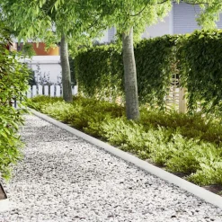 vidaXL Tuinrand 10 st 100 x 0,05 x 15 cm Koudgewalst staal Wit