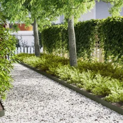 vidaXL Tuinrand 10 st 100 x 0,05 x 15 cm Koudgewalst staal Olijf Groen