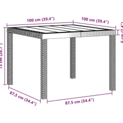 vidaXL Tuinstafel Lichtgrijs 100 x 100 x 73 cm poly rattan