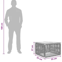 vidaXL Tuinstafel Zwart 55 x 55 x 37 cm PE Rattan en Glas