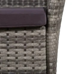 vidaXL Tuinstoel en kruk met kussens poly rattan grijs