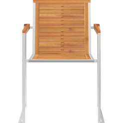 vidaXL Tuinstoelen 2 st massief acaciahout en roestvrij staal