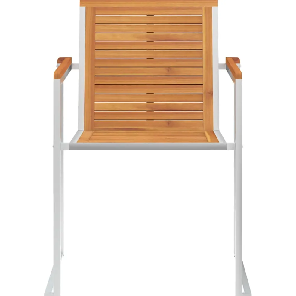 vidaXL Tuinstoelen 2 st massief acaciahout en roestvrij staal