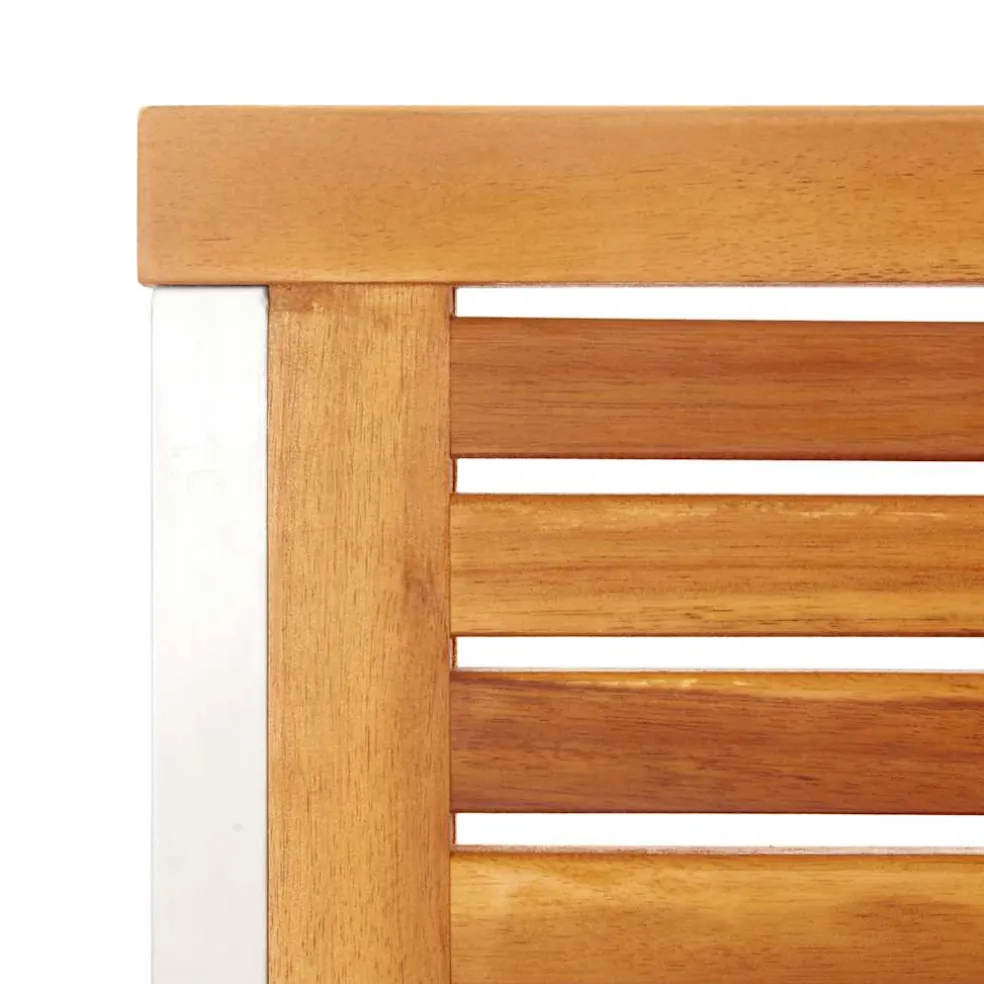 vidaXL Tuinstoelen 2 st massief acaciahout en roestvrij staal