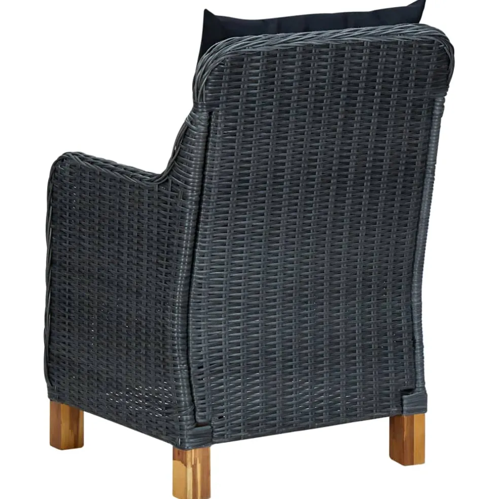 vidaXL Tuinstoelen 2 st met kussens poly rattan donkergrijs