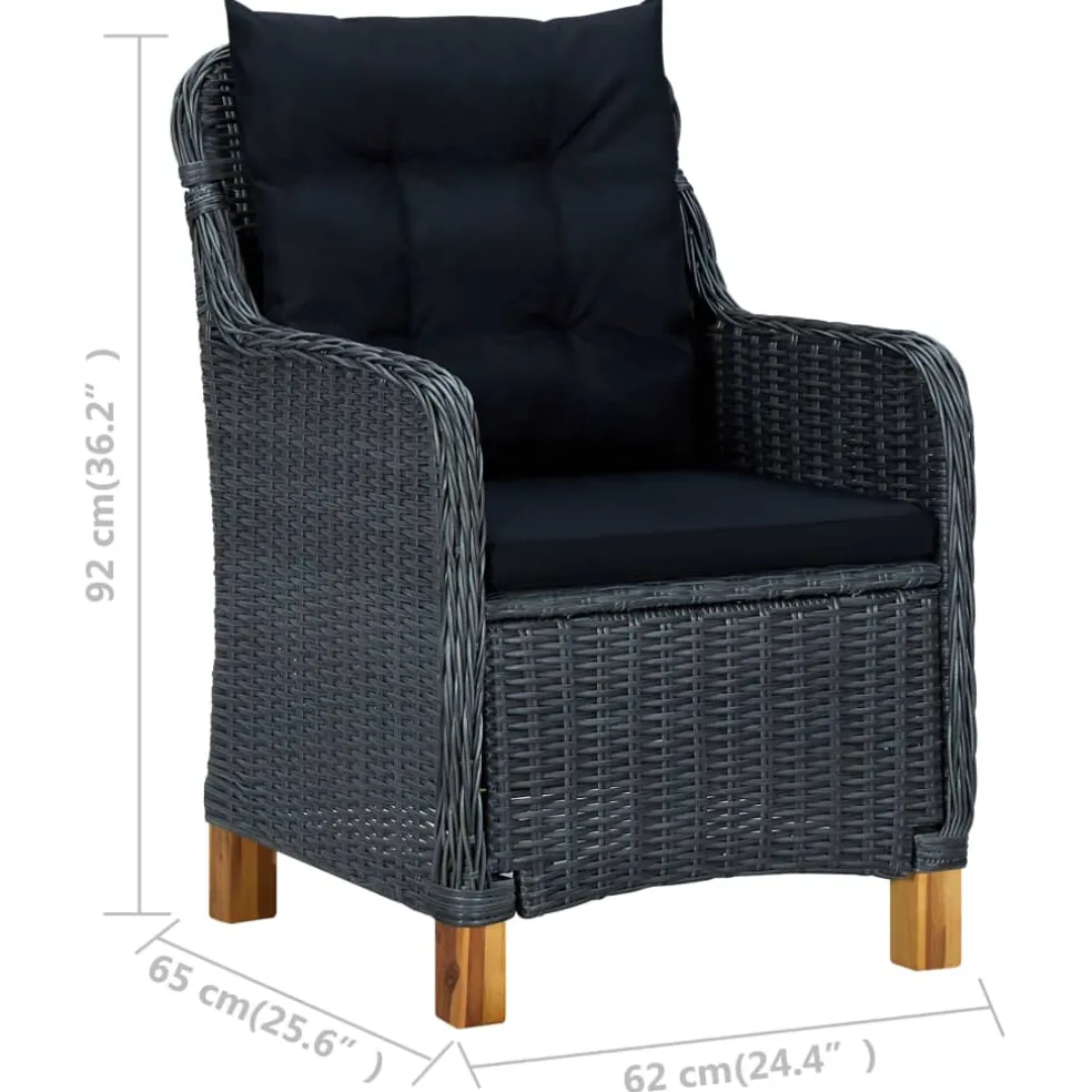vidaXL Tuinstoelen 2 st met kussens poly rattan donkergrijs