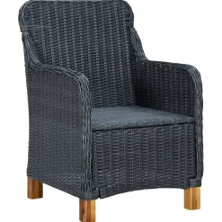 vidaXL Tuinstoelen 2 st met kussens poly rattan donkergrijs