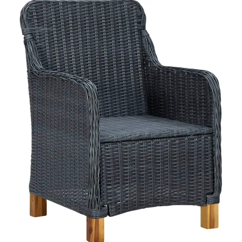 vidaXL Tuinstoelen 2 st met kussens poly rattan donkergrijs