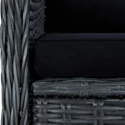 vidaXL Tuinstoelen 2 st met kussens poly rattan donkergrijs
