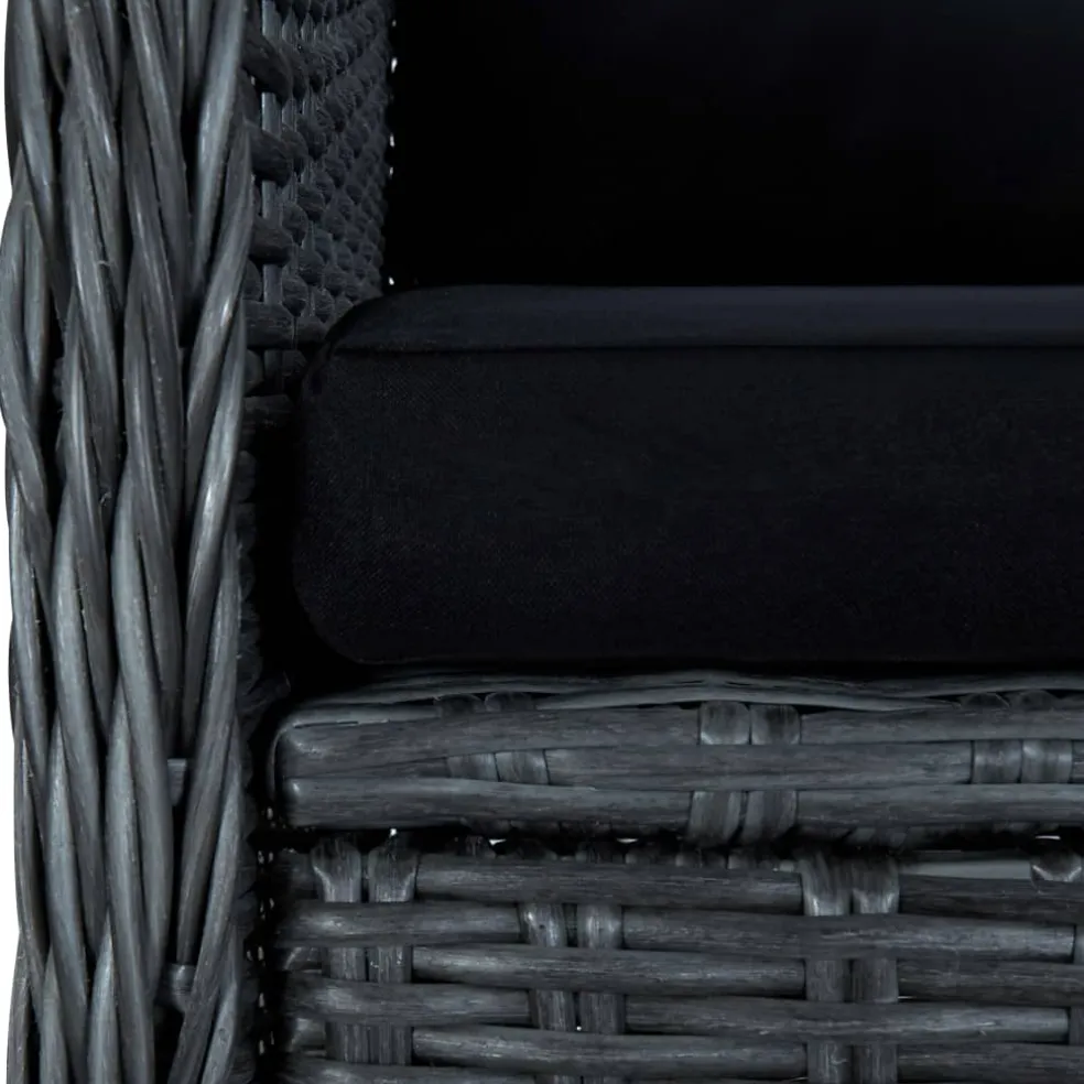 vidaXL Tuinstoelen 2 st met kussens poly rattan donkergrijs