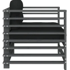 vidaXL Tuinstoelen 2 st met kussens massief grenenhout grijs