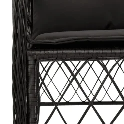 vidaXL Tuinstoelen 2 st met kussens poly rattan zwart