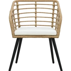 vidaXL Tuinstoelen 2 st met kussens poly rattan eikenkleurig