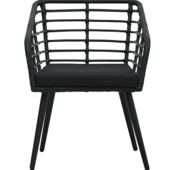 vidaXL Tuinstoelen 2 st met kussens poly rattan zwart