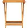vidaXL Tuintafel inklapbaar 50x36x60 cm massief acaciahout