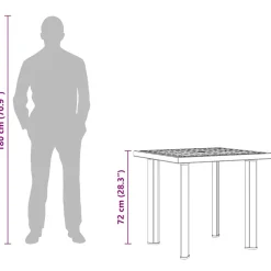vidaXL Tuintafel 80x75x72 cm kunststof antraciet