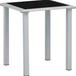 vidaXL Tuintafel 41x41x45 cm staal en glas zwart en zilverkleurig