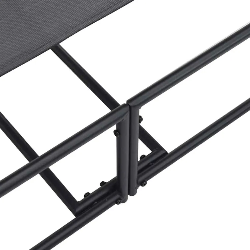 vidaXL Tuin Zonnebed 2 st Antraciet Gepoedercoat staal