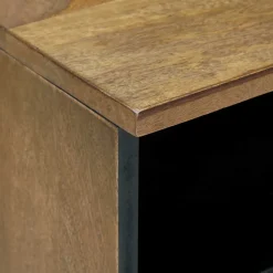vidaXL TV-kast Bruin 100 x 33 x 46 cm Massief Mango Hout