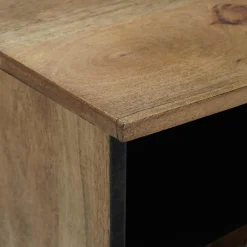 vidaXL TV-kast Bruin 100 x 33 x 46 cm Massief Mango Hout