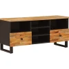 vidaXL TV-kast Corona Bruin 100 x 33 x 46 cm Massief Mango Hout