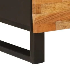 vidaXL TV-kast Corona Bruin 100 x 33 x 46 cm Massief Mango Hout