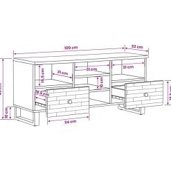 vidaXL TV-kast Corona Bruin 100 x 33 x 46 cm Massief Mango Hout