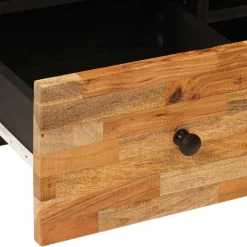 vidaXL TV-kast Corona Bruin 100 x 33 x 46 cm Massief Mango Hout