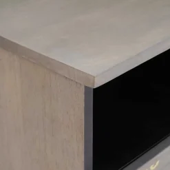 vidaXL TV-kast Grijs 100 x 33 x 46 cm Massief Mango Hout