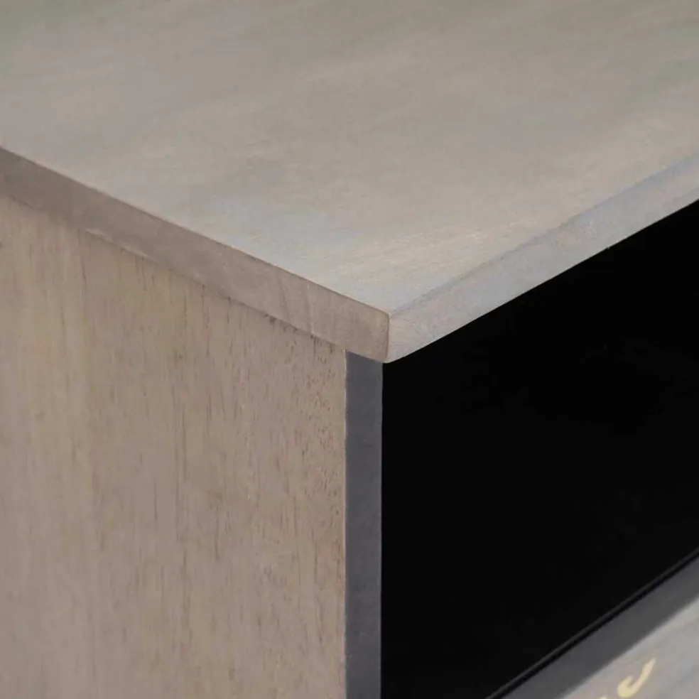 vidaXL TV-kast Grijs 100 x 33 x 46 cm Massief Mango Hout