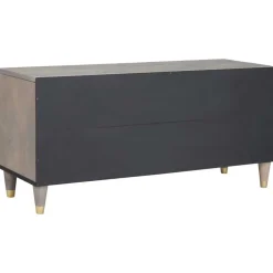 vidaXL TV-kast Grijs 100 x 33 x 46 cm Massief Mango Hout