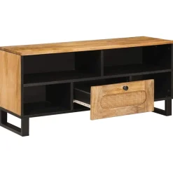 vidaXL TV-kast met lade Bruin 100 x 33 x 46 cm Massief Mango Hout