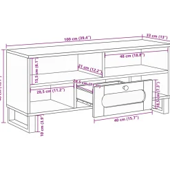 vidaXL TV-kast met lade Bruin 100 x 33 x 46 cm Massief Mango Hout