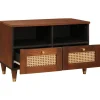 vidaXL TV-kast met lade Bruin 70 x 33,5 x 46 cm Massief Mango Hout