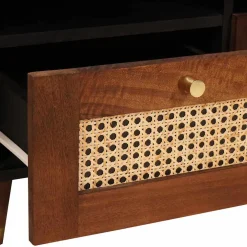 vidaXL TV-kast met lade Bruin 70 x 33,5 x 46 cm Massief Mango Hout