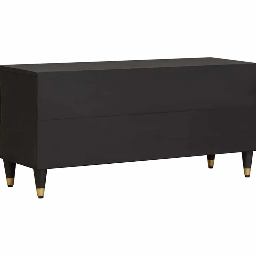vidaXL TV-kast met lade Zwart 100 x 33 x 46 cm Massief Mango Hout