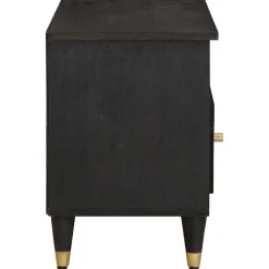 vidaXL TV-kast met lade Zwart 100 x 33 x 46 cm Massief Mango Hout