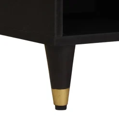 vidaXL TV-kast met lade Zwart 100 x 33 x 46 cm Massief Mango Hout