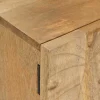vidaXL TV-kast 110 x 30 x 40 cm Massief Mango Hout en Geengineerd Hout