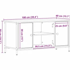 vidaXL TV-kast 100 x 40 x 50 cm Oud hout Bewerkt hout