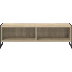 vidaXL TV-kast 100 x 36.5 x 30.5 cm Sonoma Bewerkt hout