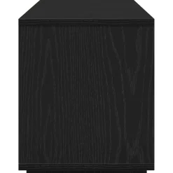 vidaXL TV-kast 120 x 30 x 40,5 cm Zwart Eiken Bewerkt hout