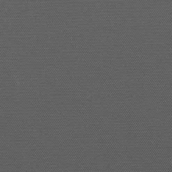 vidaXL Uitschuifbaar zijluifel antraciet 100x300 cm