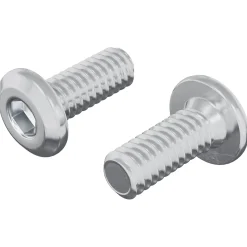 vidaXL Vergrendelingsschroef 2 st Zilver M6 x 15 mm Staal