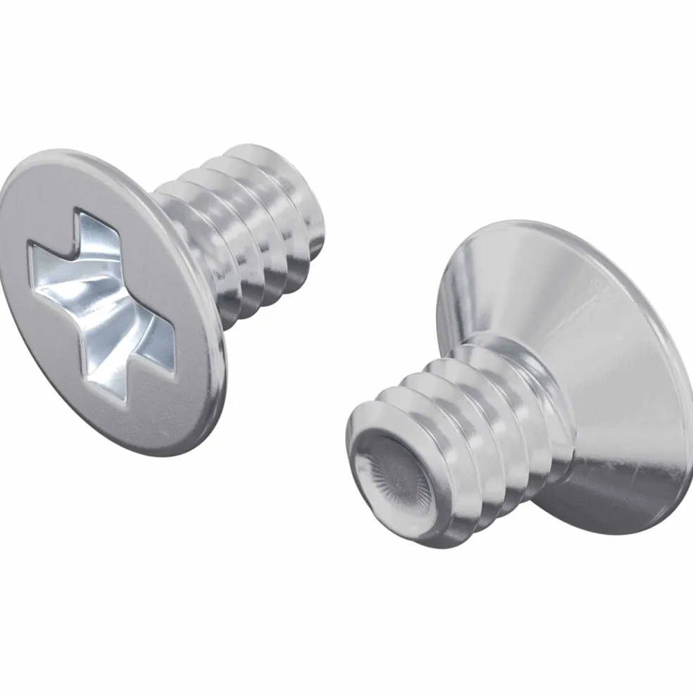 vidaXL Verzonken schroeven 2 st Zilver M4 x 6 mm Staal