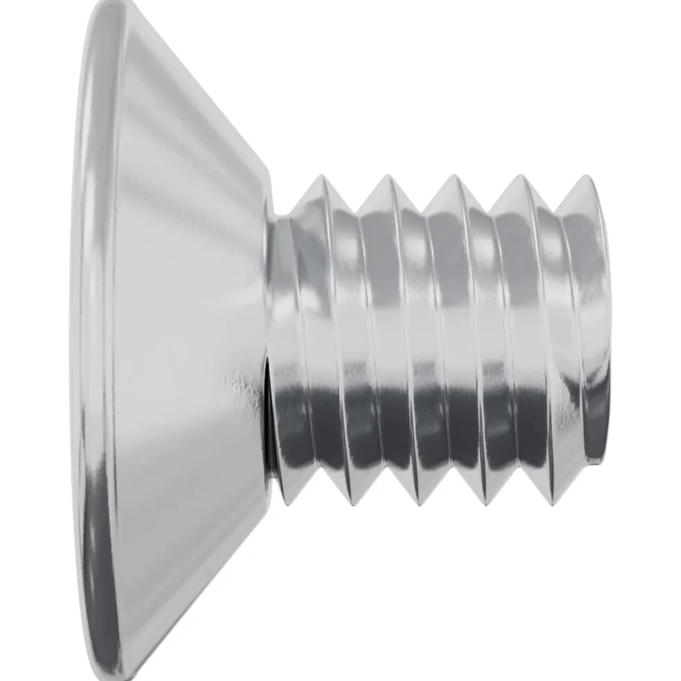 vidaXL Verzonken schroeven 2 st Zilver M4 x 6 mm Staal